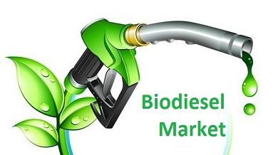 Biodiesel Market (1)